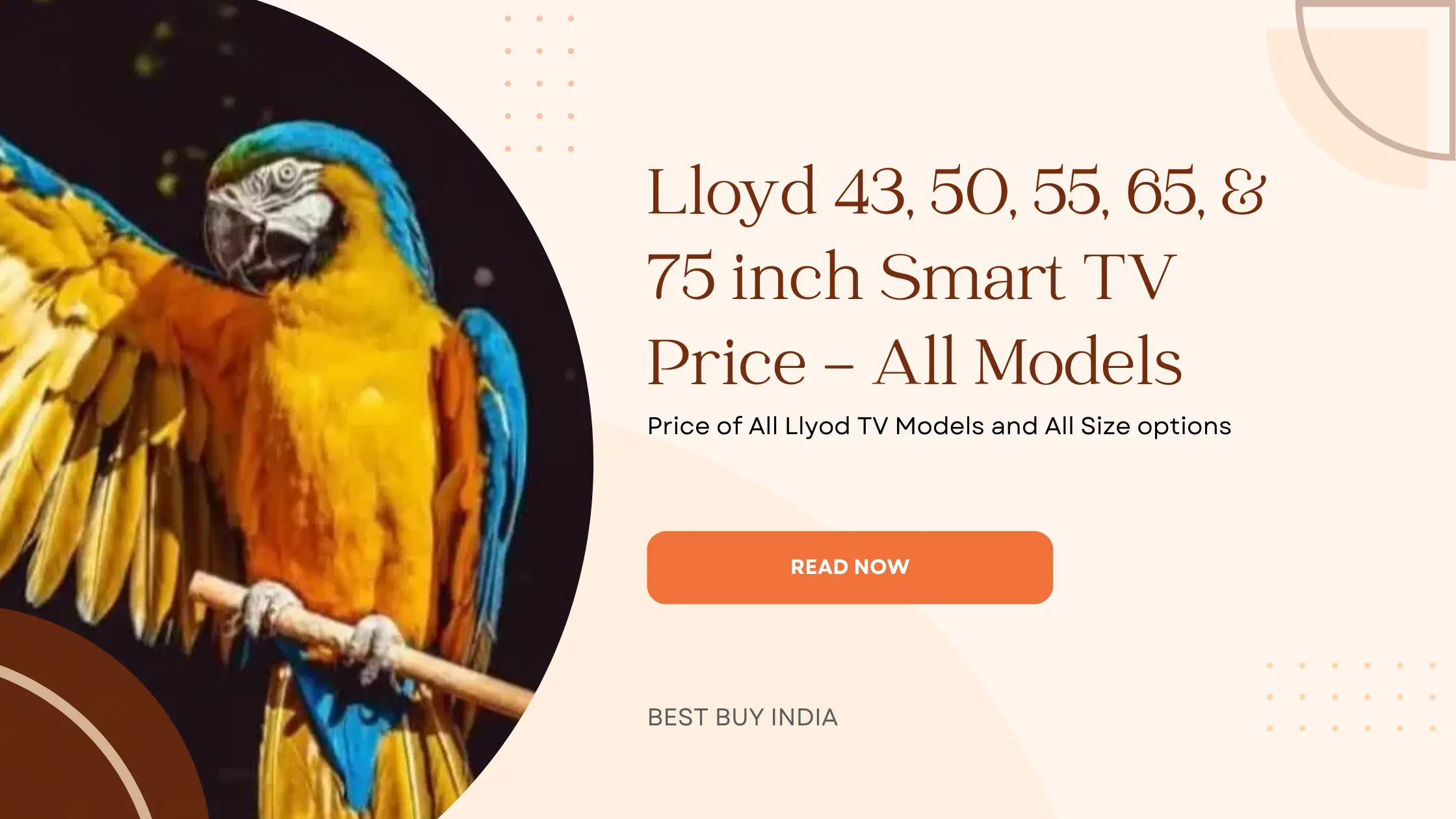 lloyd 43, 50, 55, 65, & 75 inch Smart TV Price – All Models